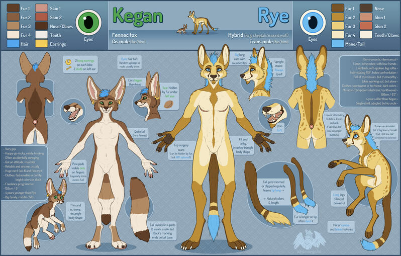 Reference - 4 fullbodies (2 anthro, 2 feral), 2 portraits, various close-ups/details/doodles