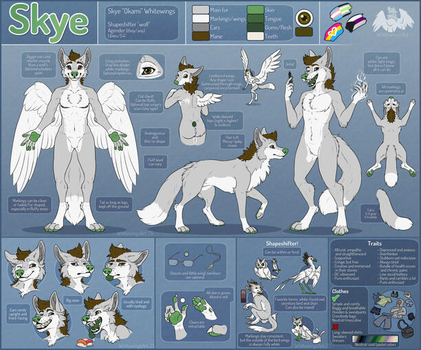 Reference - 3 fullbodies (2 anthro, 1 feral), 5 portraits, various close-ups and doodles