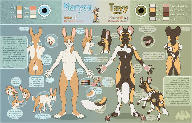 Reference - 4 fullbodies (2 anthro, 2 feral), 2 portraits, various close-ups/details/doodles